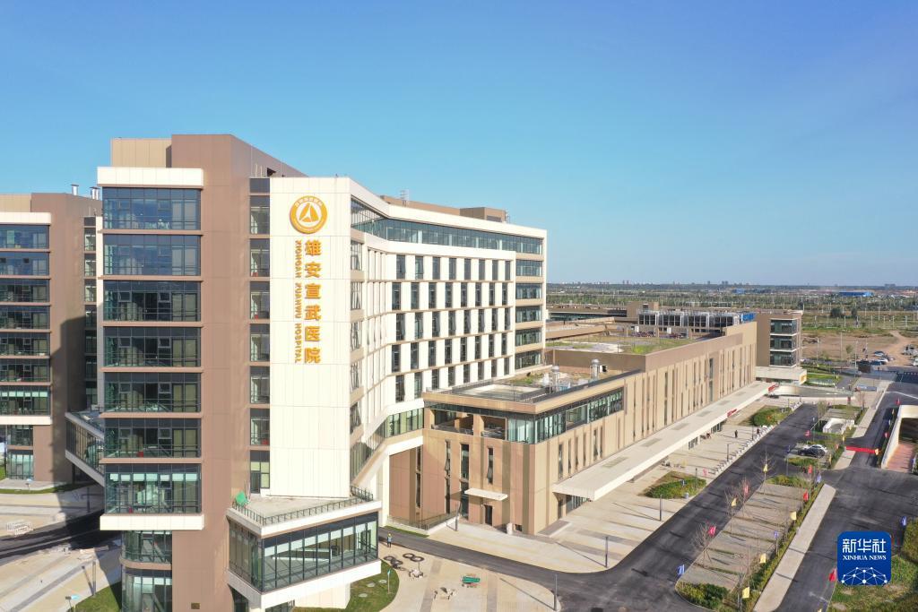 新金宝集团